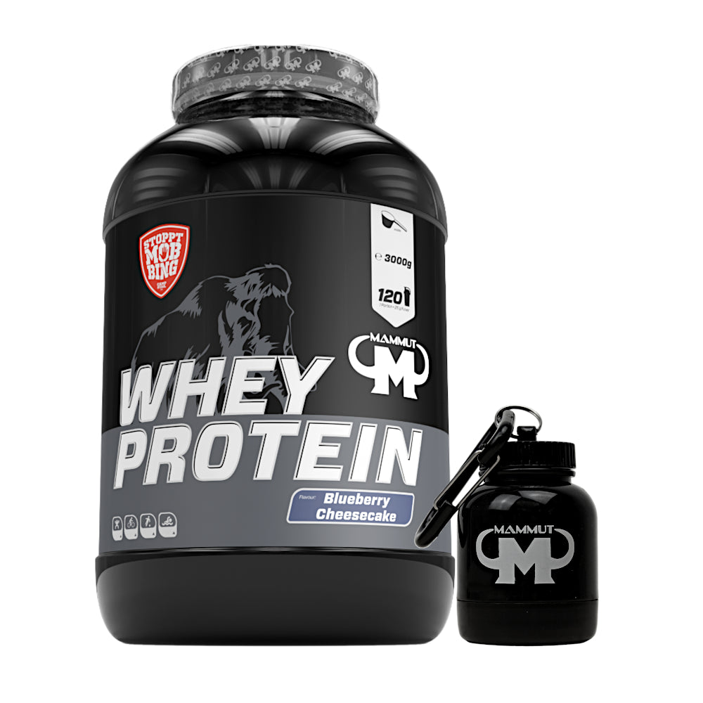 Whey Protein - Blueberry Cheesecake - 3000 g Dose + Powderbank#geschmack_blueberry-cheesecake