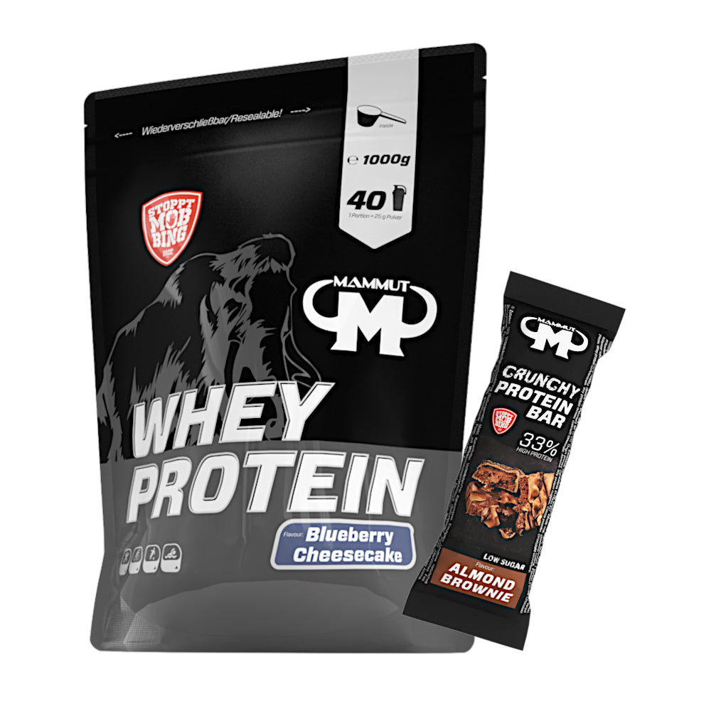 250 g - 1 kg Whey Protein Bundle#geschmack_blueberry-cheesecake