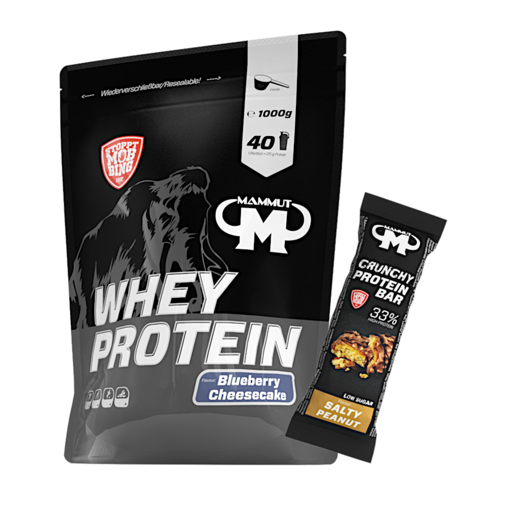 250 g - 1 kg Whey Protein Bundle#geschmack_blueberry-cheesecake