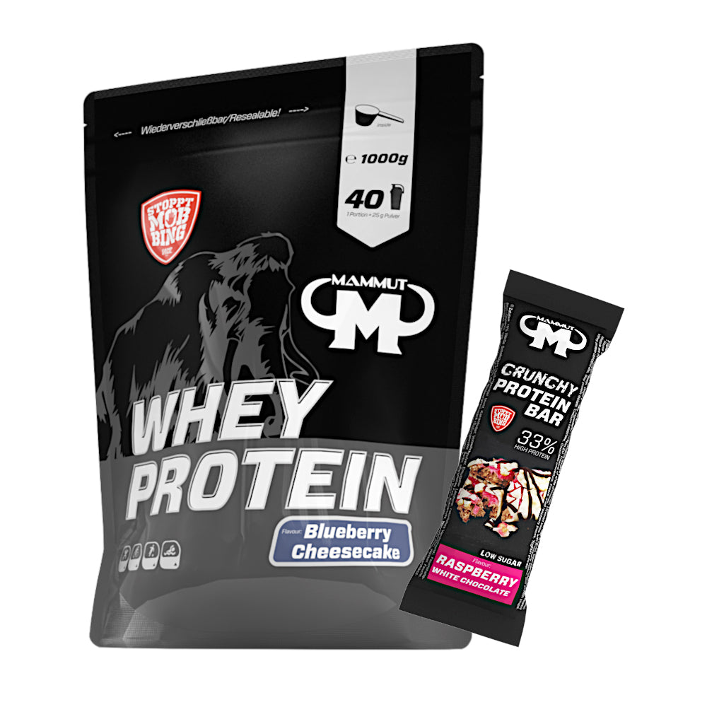 250 g - 1 kg Whey Protein Bundle#geschmack_blueberry-cheesecake