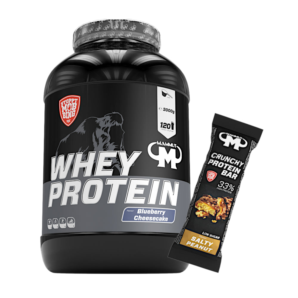 Whey Protein - Blueberry Cheesecake - 3000 g Dose + Protein Bar (Salty Peanut)#geschmack_blueberry-cheesecake