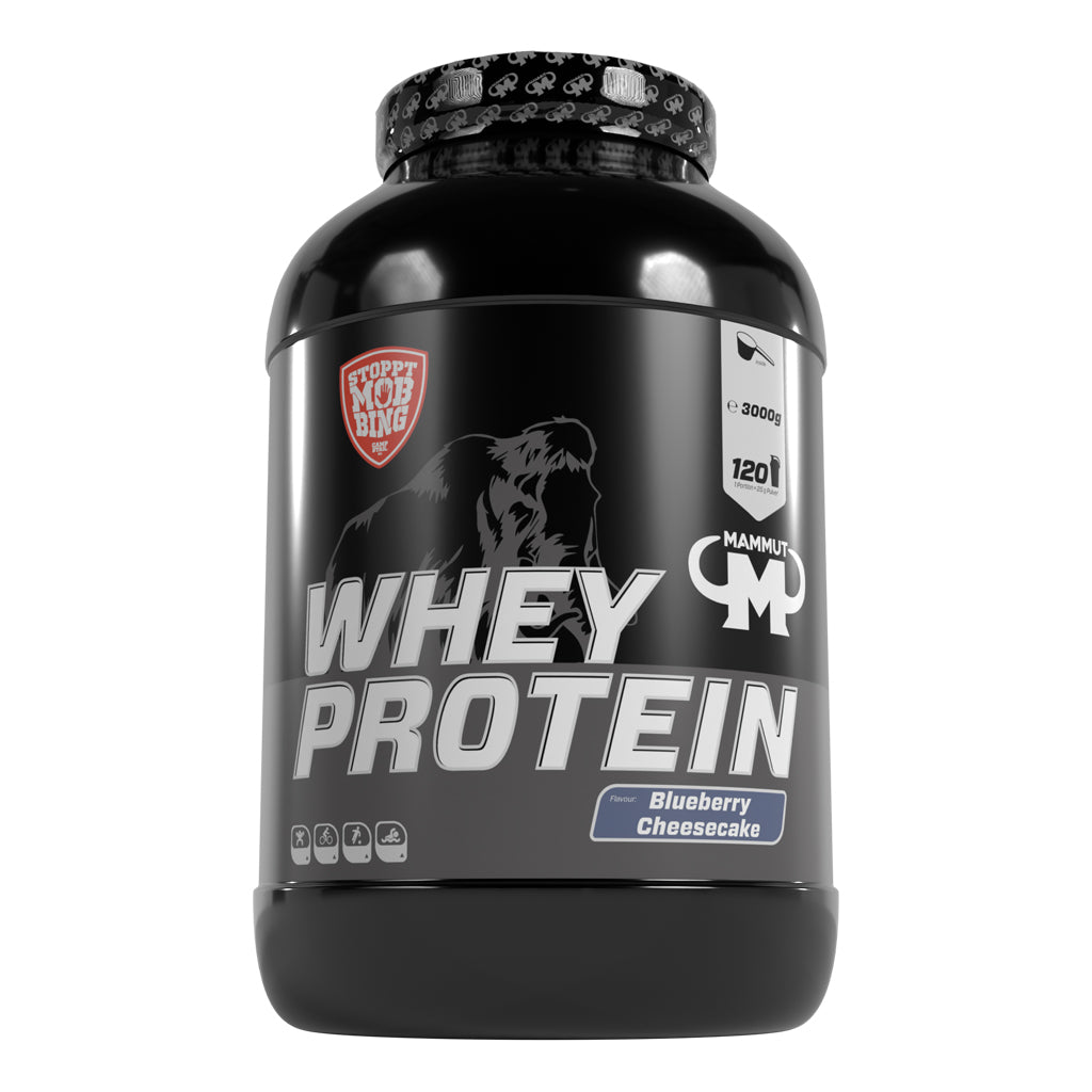 Whey Protein - Blueberry Cheesecake - 3000 g Dose#geschmack_blueberry-cheesecake