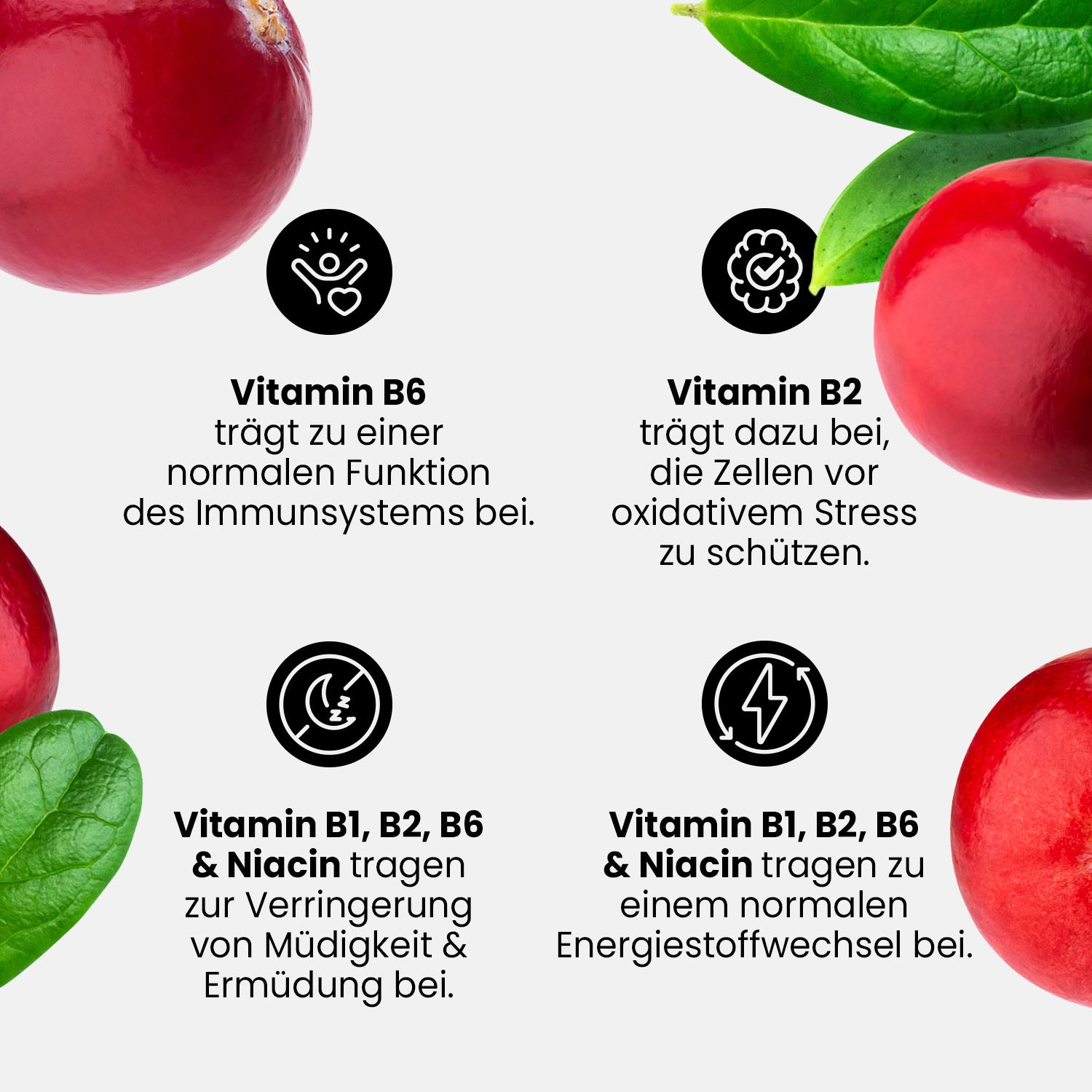 Amino Liquid 5000 - Cranberry - 1000 ml Flasche#_