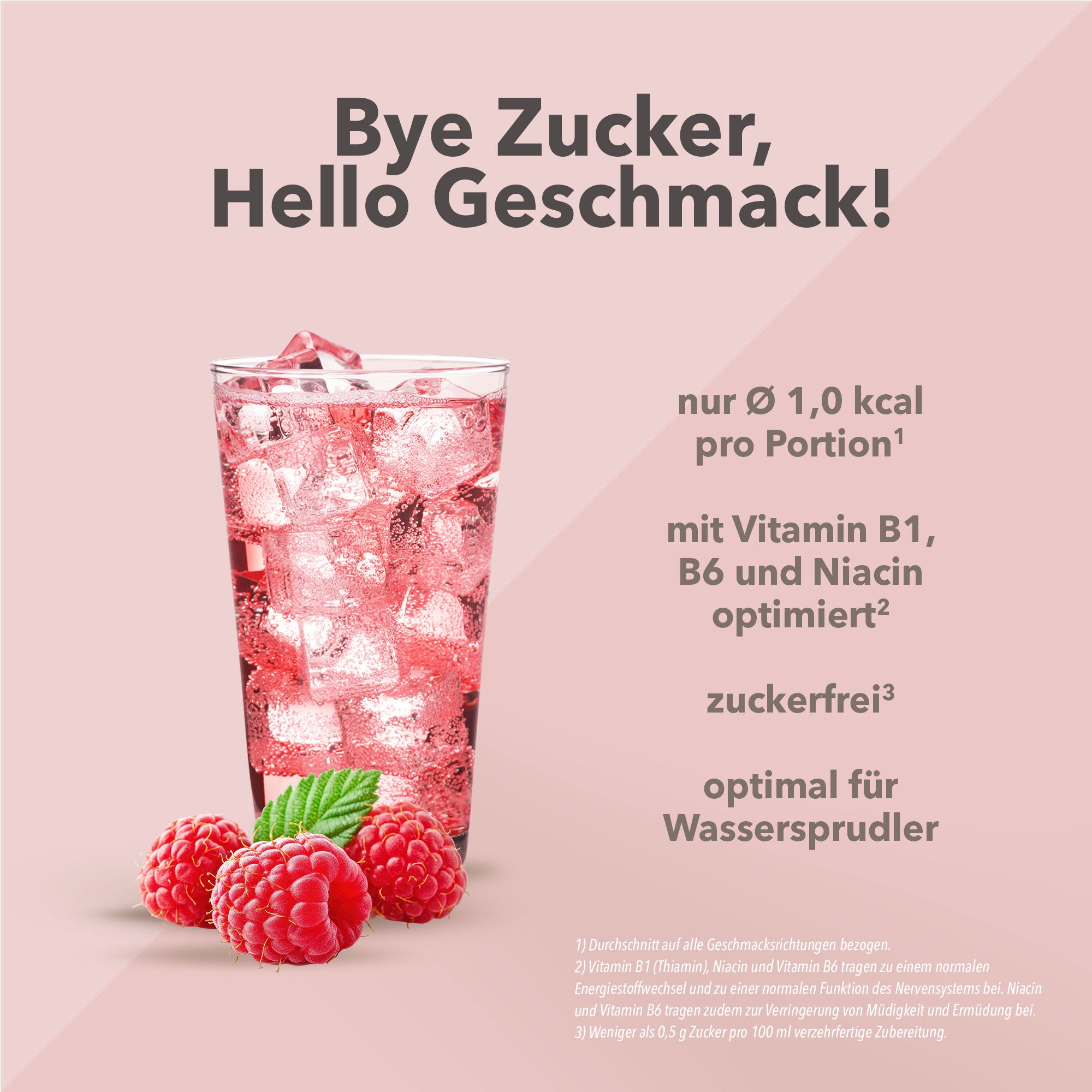 Vital Drink Zerop - Himbeere - 1000 ml Flasche#geschmack_himbeere