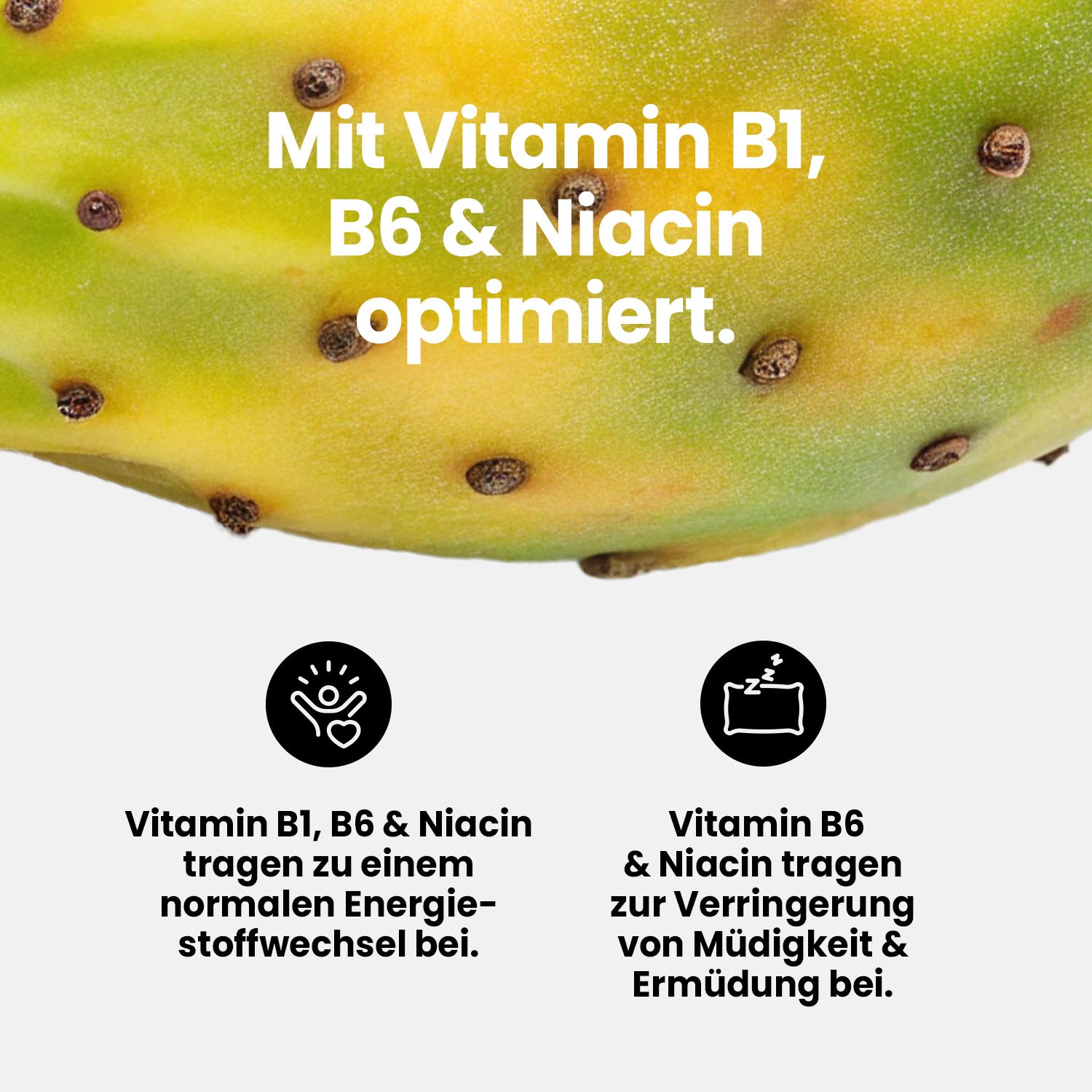 Vital Drink Zerop - Kaktusfeige - 1000 ml Flasche#geschmack_kaktusfeige