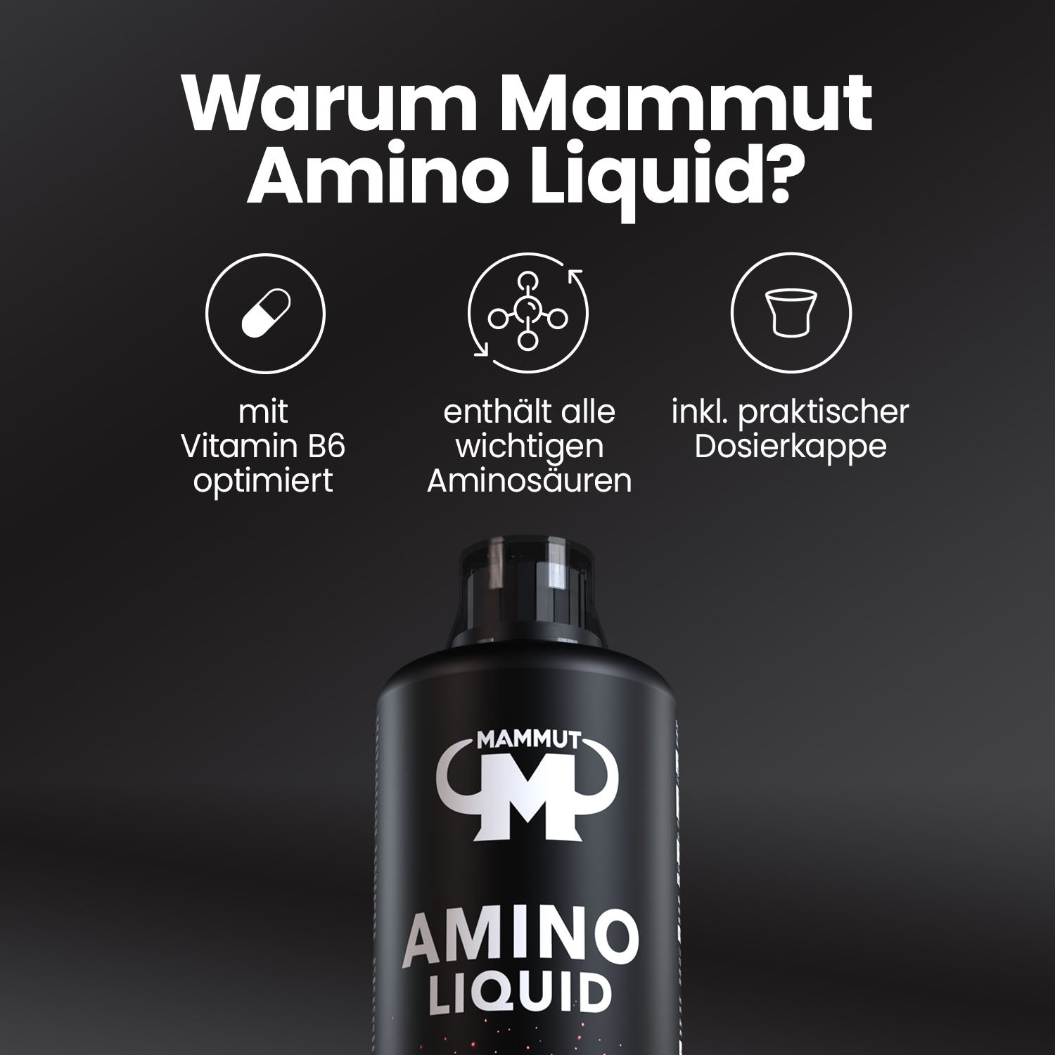 Amino Liquid - Blutorange - 1000 ml Flasche#_