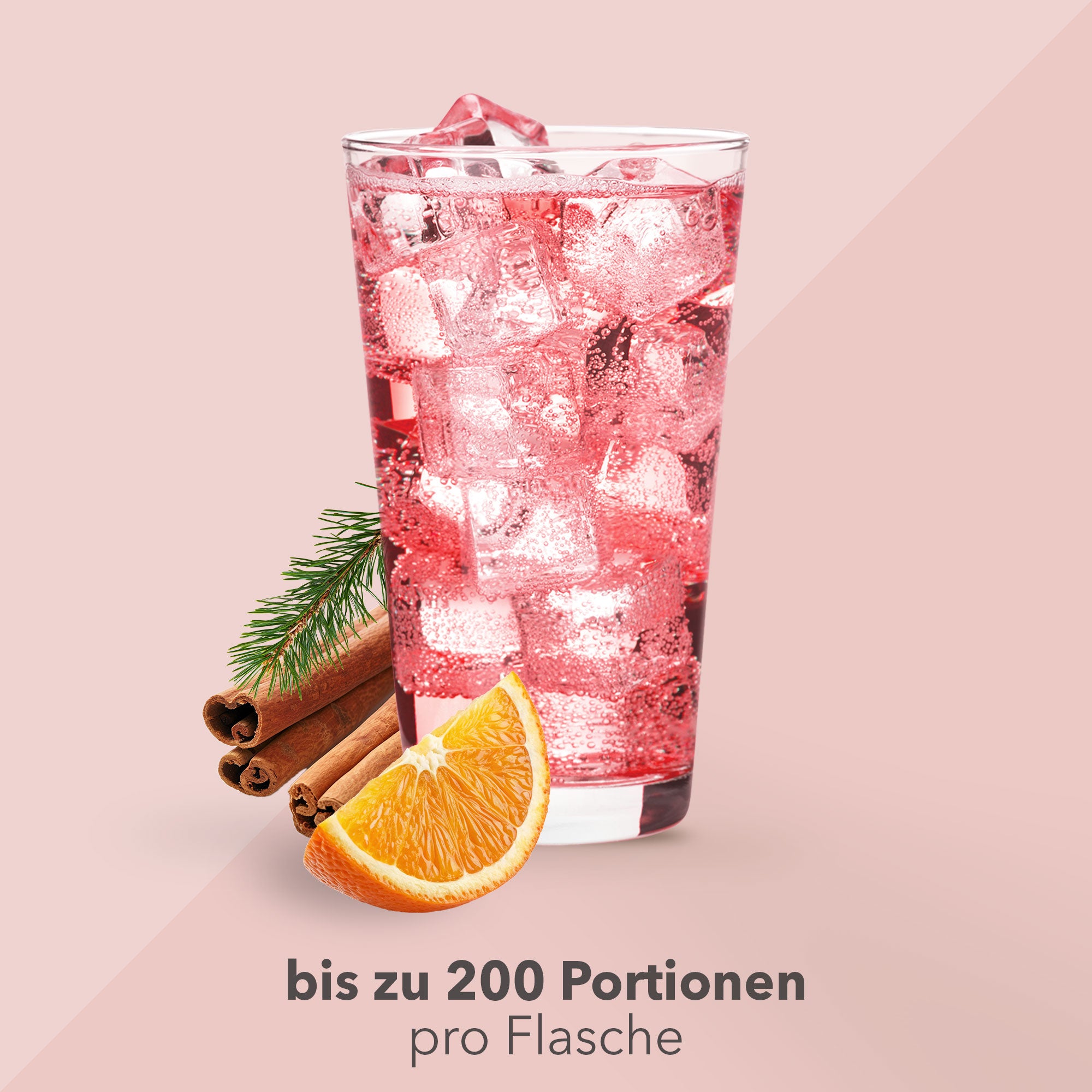 Vital Drink Zerop - Winter Punsch - 1000 ml Flasche#geschmack_winter-punsch