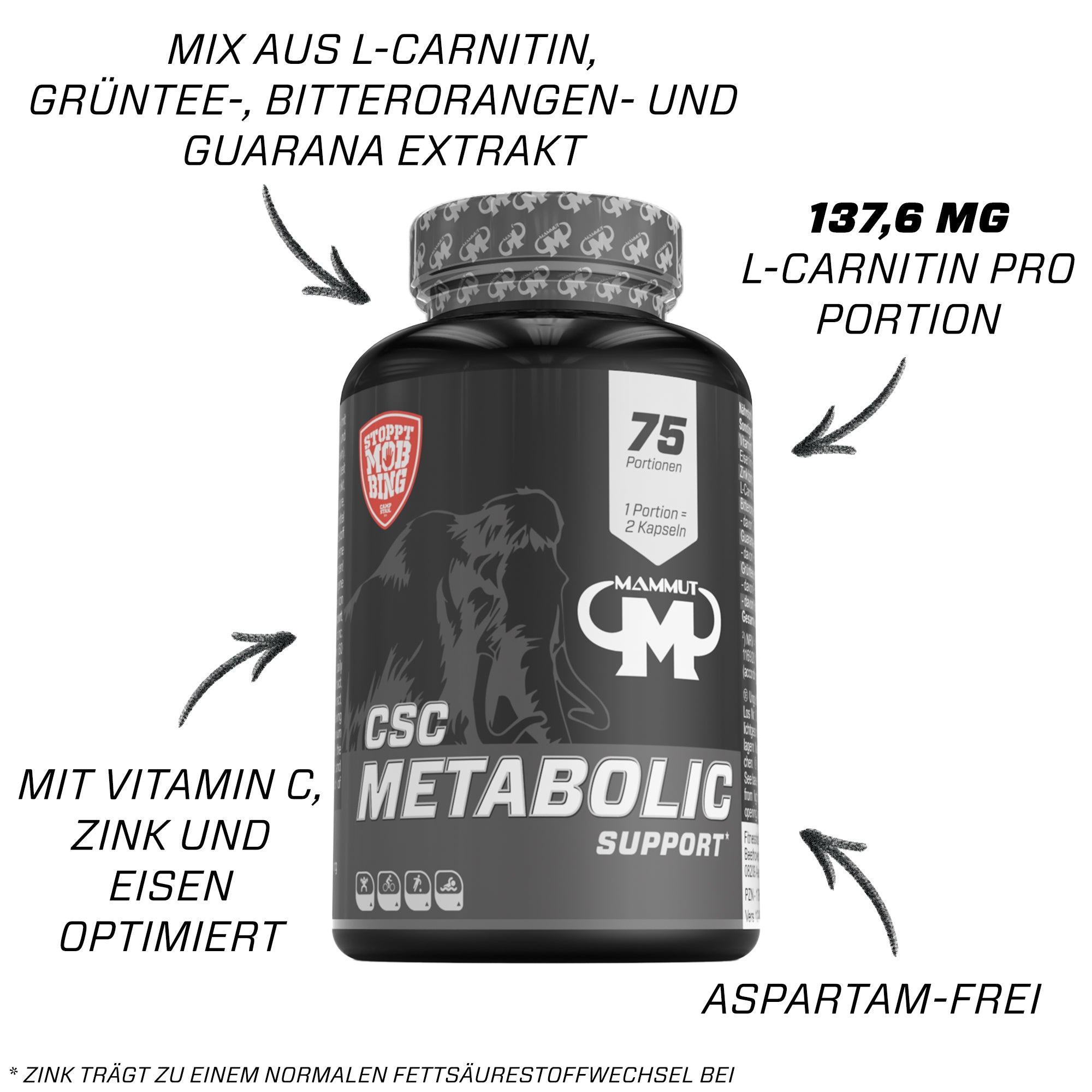 Fettsäurestoffwechsel  Bundle#_