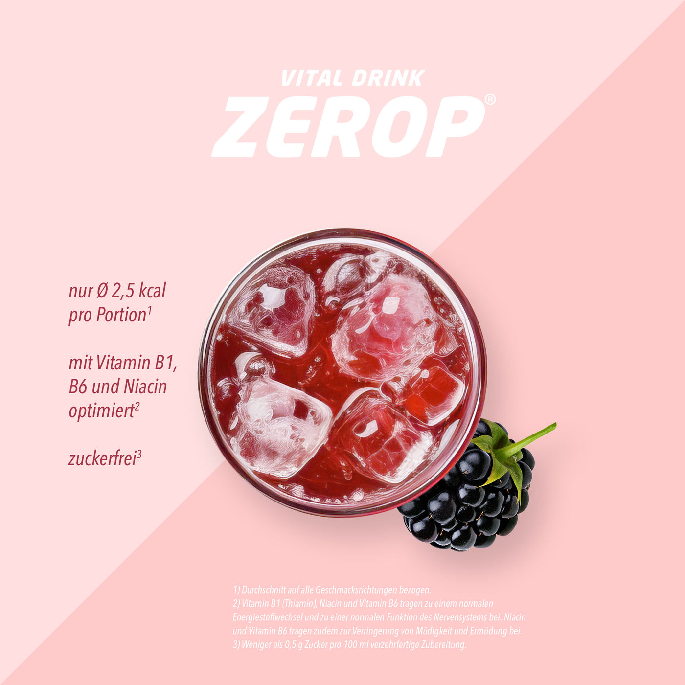 Vital Drink Zerop - Brombeere - 1 L + Dosierpumpe#geschmack_brombeere