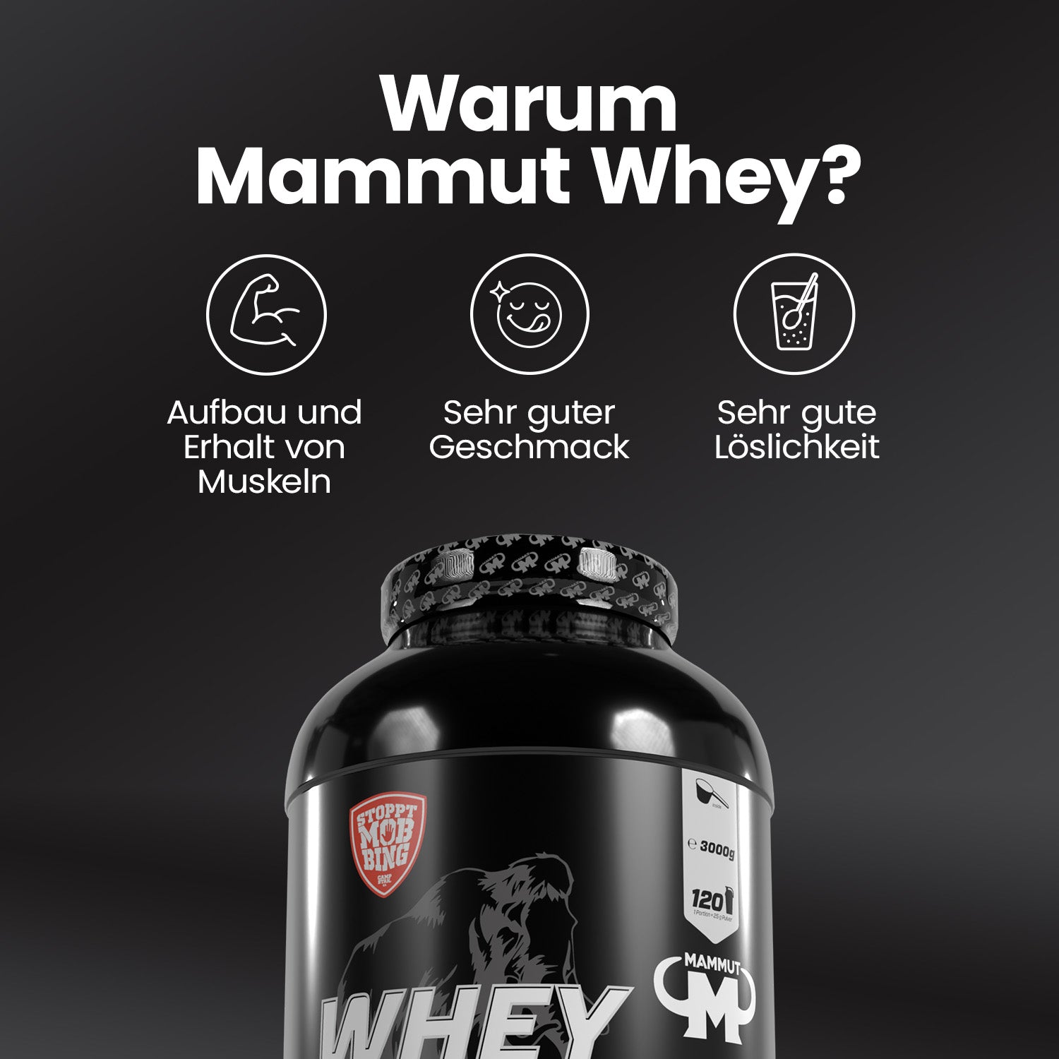 Whey Protein - Coconut White Chocolate - 3000 g Dose#geschmack_coconut-white-chocolate