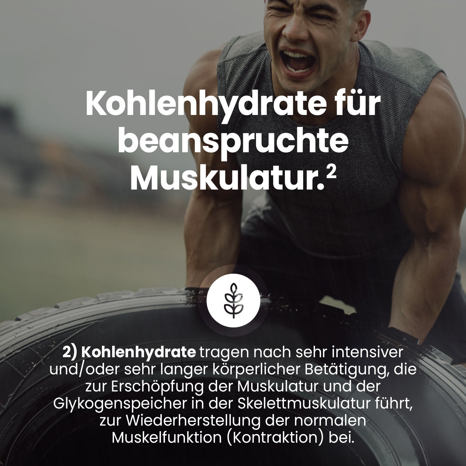 Professional Isotonic Powder - Lime - 600 g Dose#_