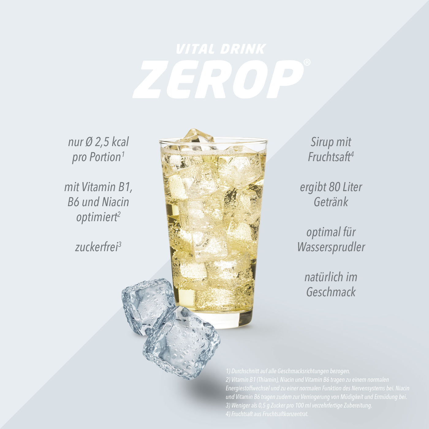 Vital Drink Zerop - Ginger Ale - 1000 ml Flasche#geschmack_ginger-ale