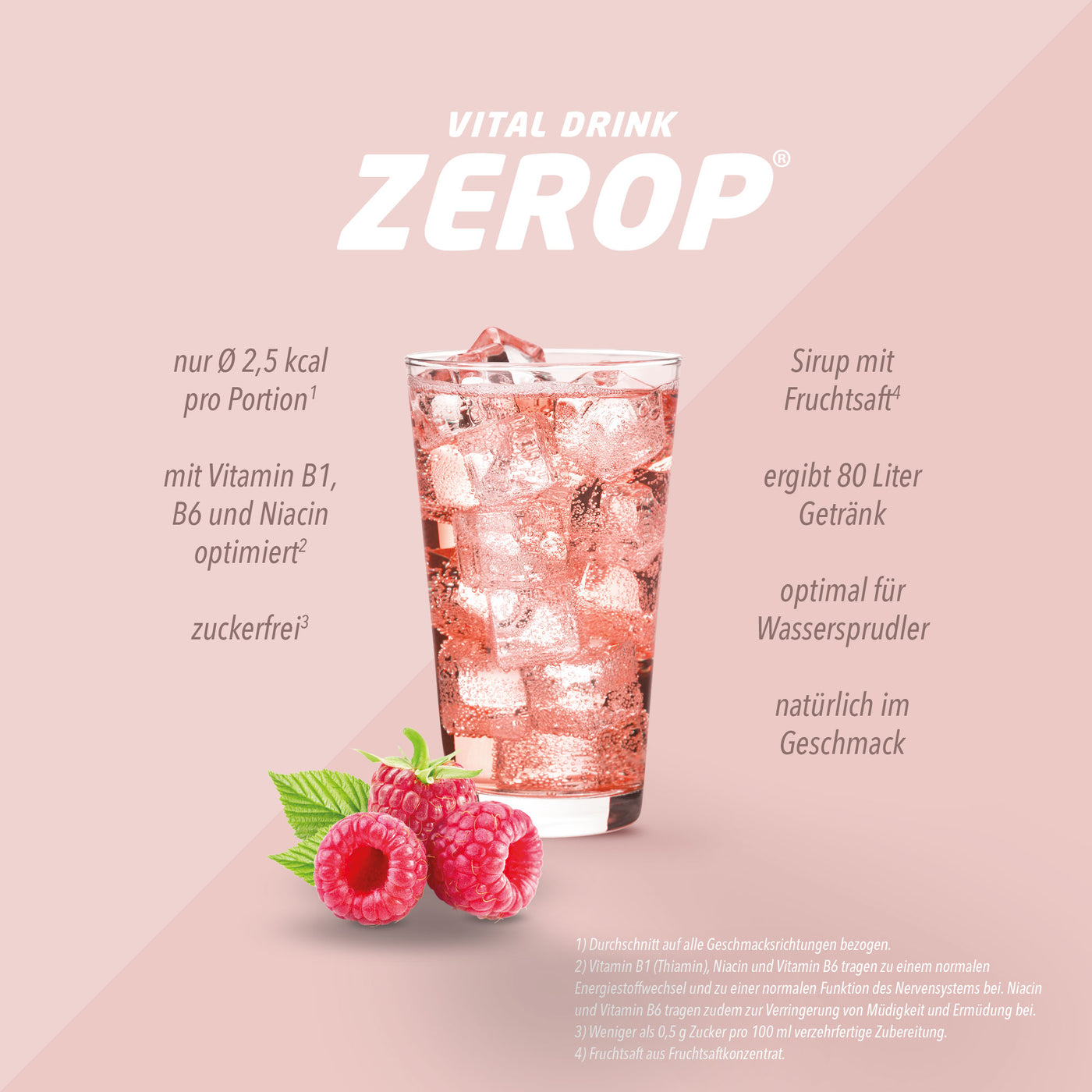 Vital Drink Zerop - Himbeere - 500 ml Flasche#geschmack_himbeere