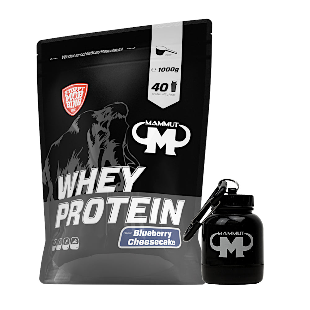 250 g - 1 kg Whey Protein Bundle#geschmack_blueberry-cheesecake