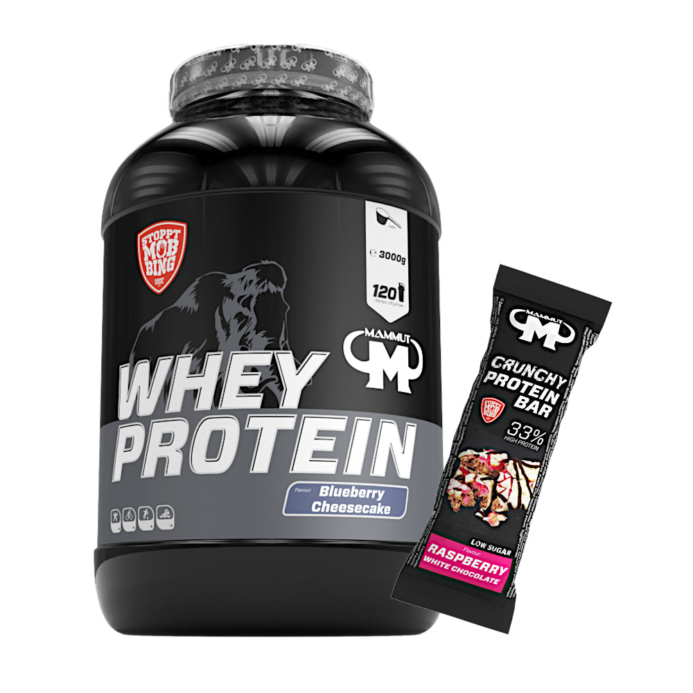 Whey Protein - Blueberry Cheesecake - 3000 g Dose + Protein Bar (Raspberry White Chocolate)#geschmack_blueberry-cheesecake
