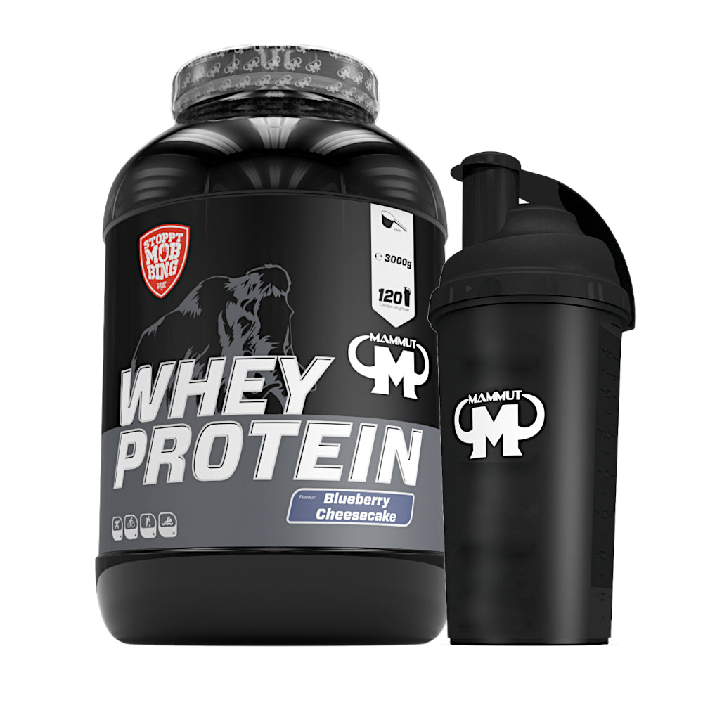 Whey Protein - Blueberry Cheesecake - 3000 g Dose + Shaker