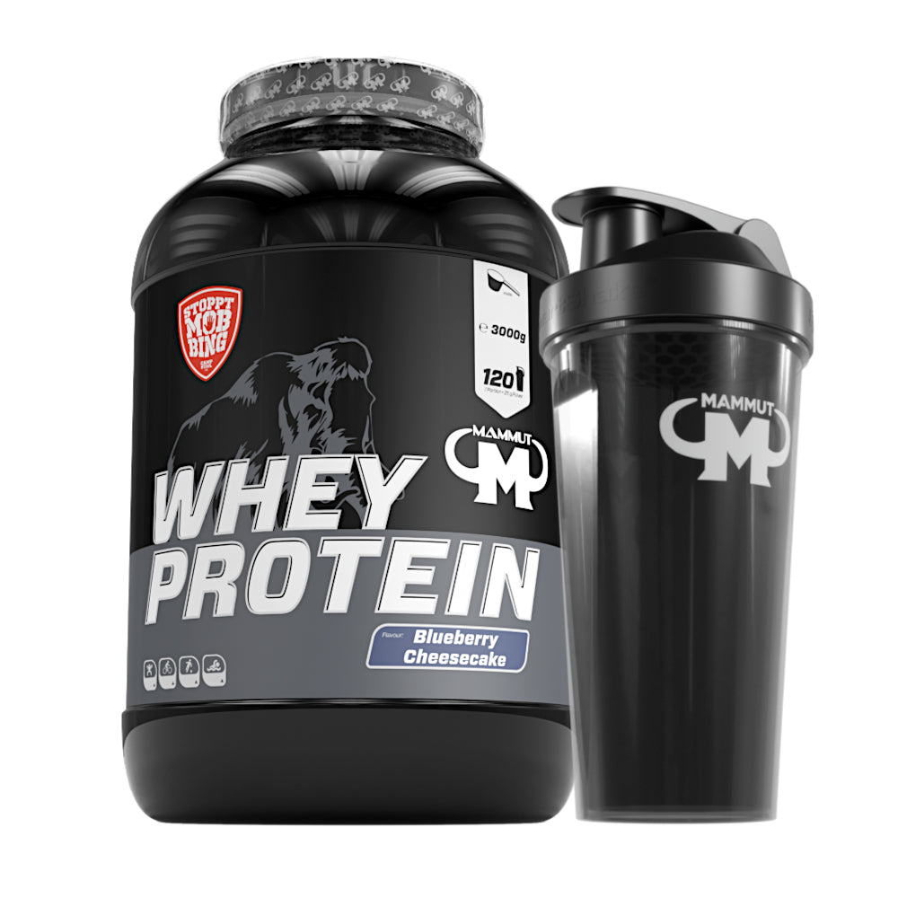 Whey Protein - Blueberry Cheesecake - 3000 g Dose + Shaker#geschmack_blueberry-cheesecake