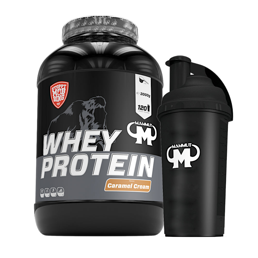 Whey Protein - Caramel Cream - 3000 g Dose + Shaker