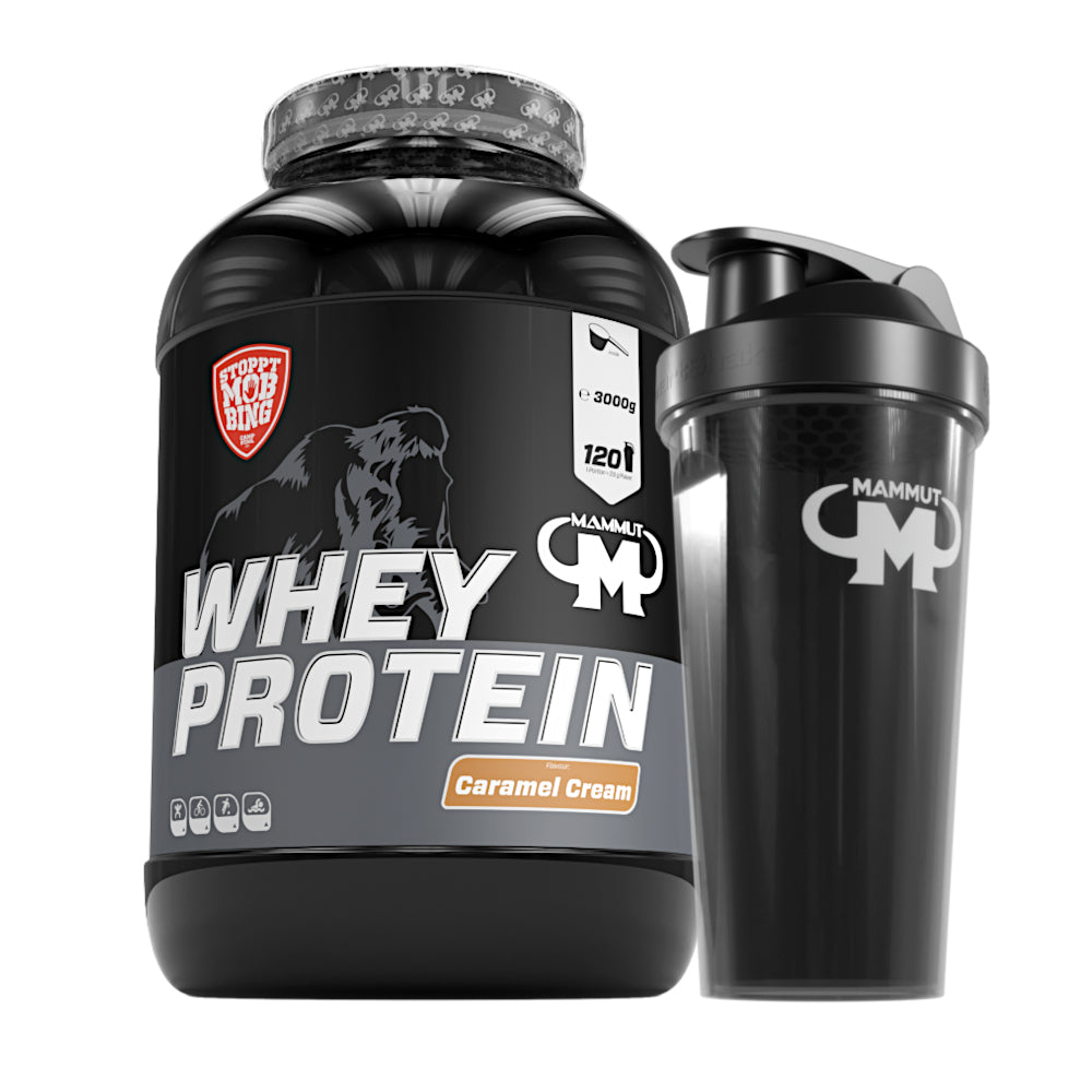 Whey Protein - Caramel Cream - 3000 g Dose + Shaker#geschmack_caramel-cream