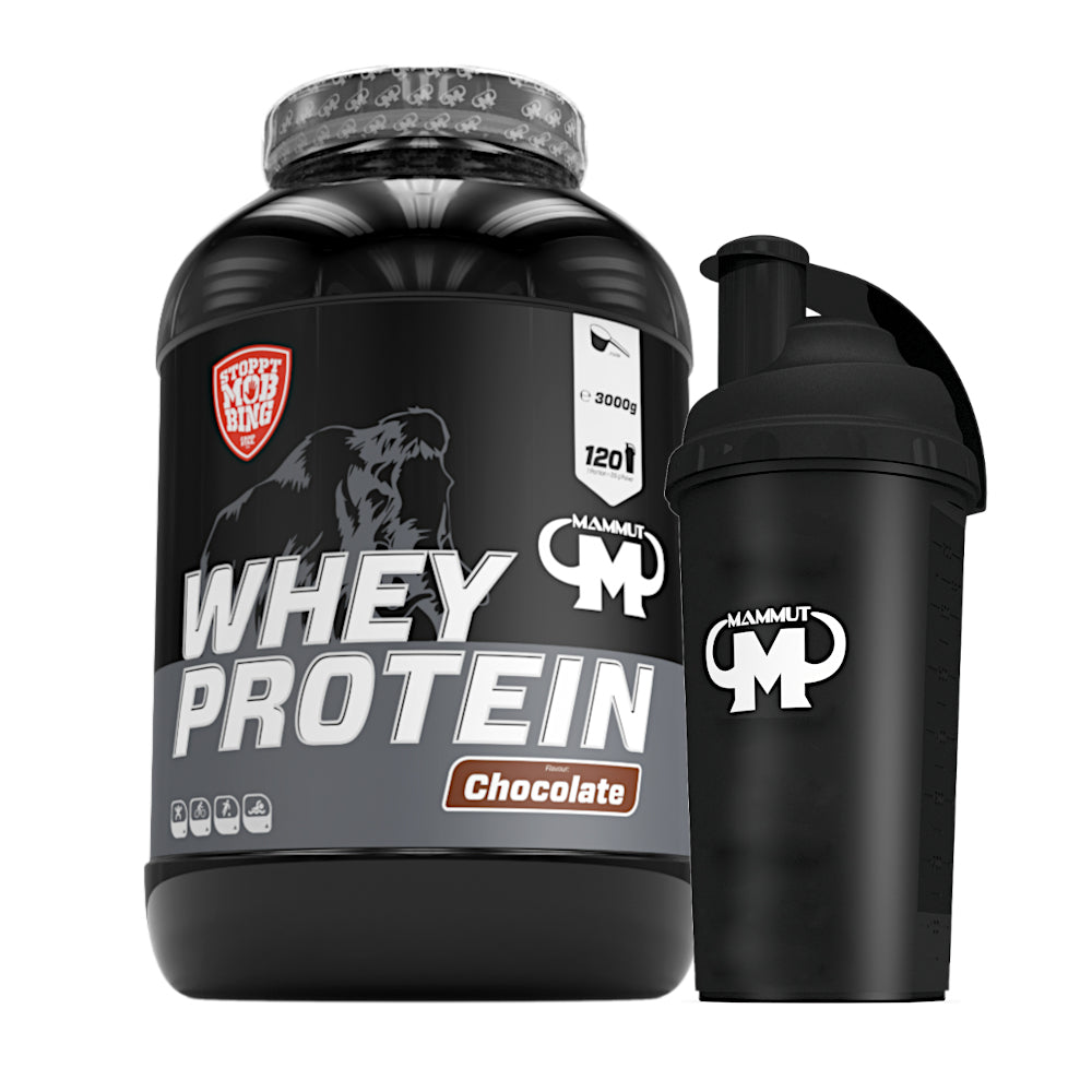 Whey Protein - Chocolate - 3000 g Dose + Shaker