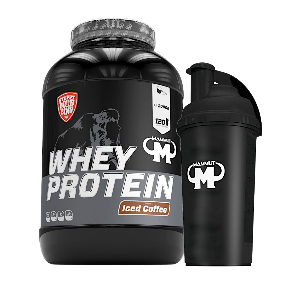 Whey Protein - Iced Coffee - 3000 g Dose + Shaker