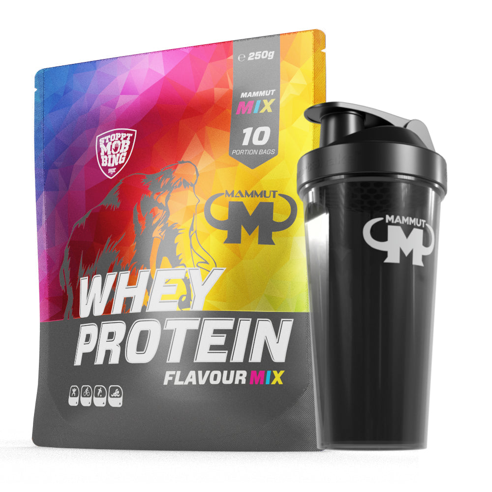 250 g - 1 kg Whey Protein Bundle#geschmack_mix-beutel-10-x-25-g