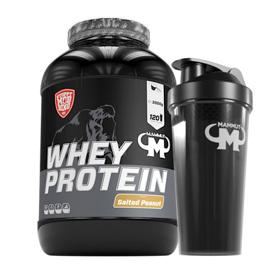 Whey Protein - Salted Peanut - 3000 g Dose + Shaker#geschmack_salted-peanut