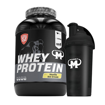 Whey Protein - Vanilla Ice Cream - 3000 g Dose + Shaker
