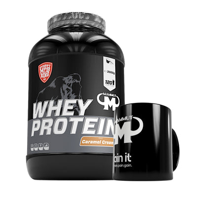Whey Protein - Caramel Cream - 3000 g Dose + Keramik Tasse