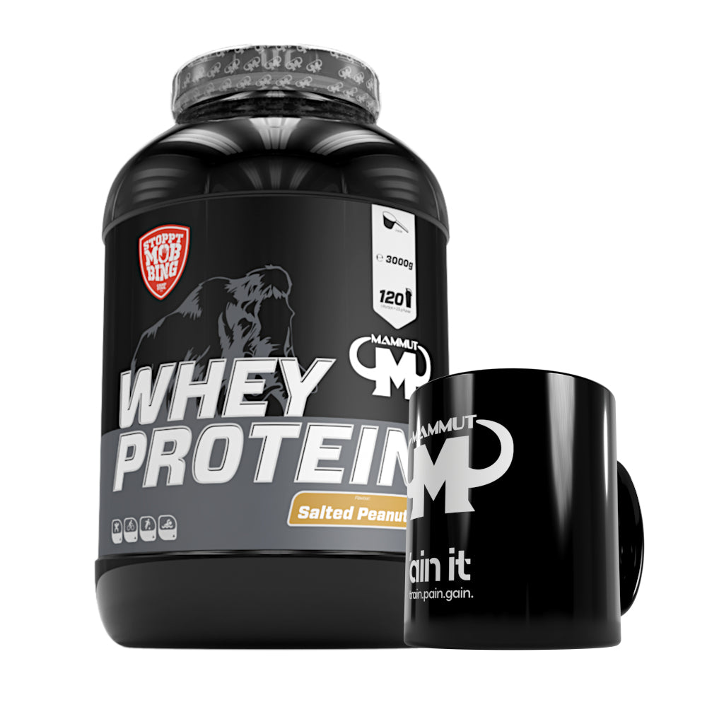 Whey Protein - Salted Peanut - 3000 g Dose + Keramik Tasse